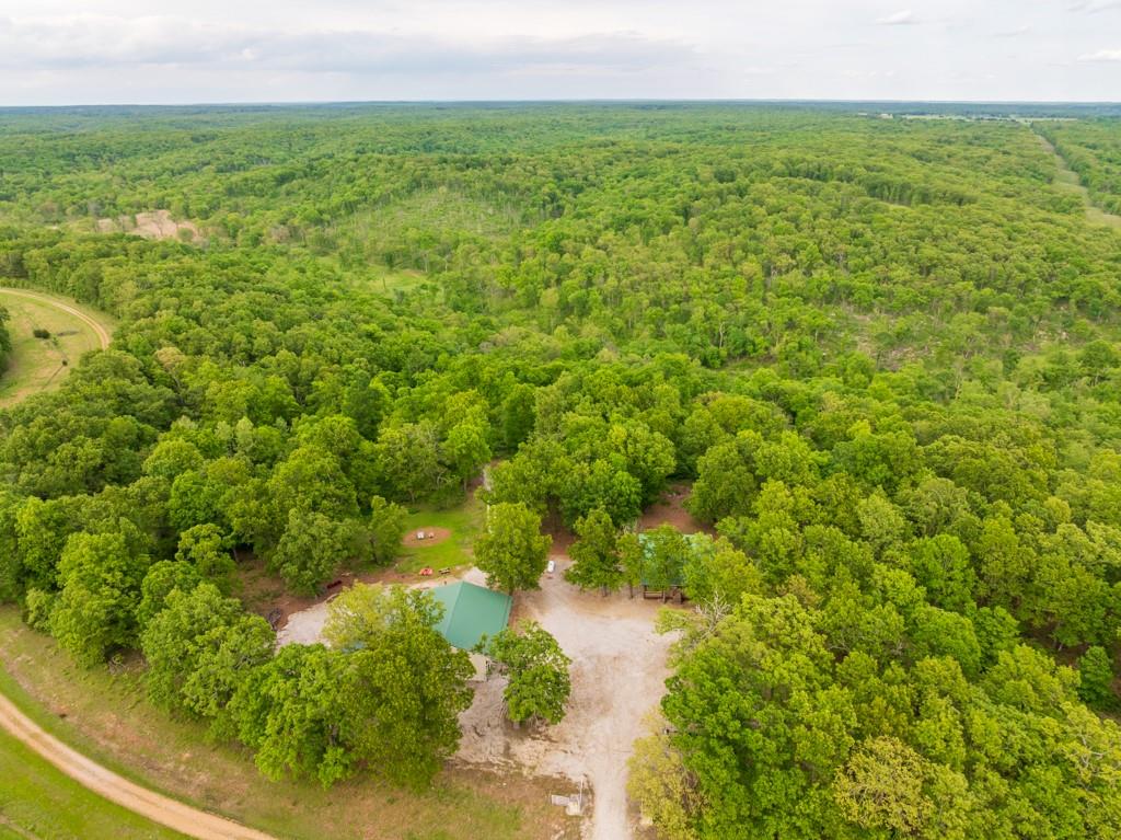 3270 Northeast 1205th Road Osceola, MO 64776 - Photo 28 of 89