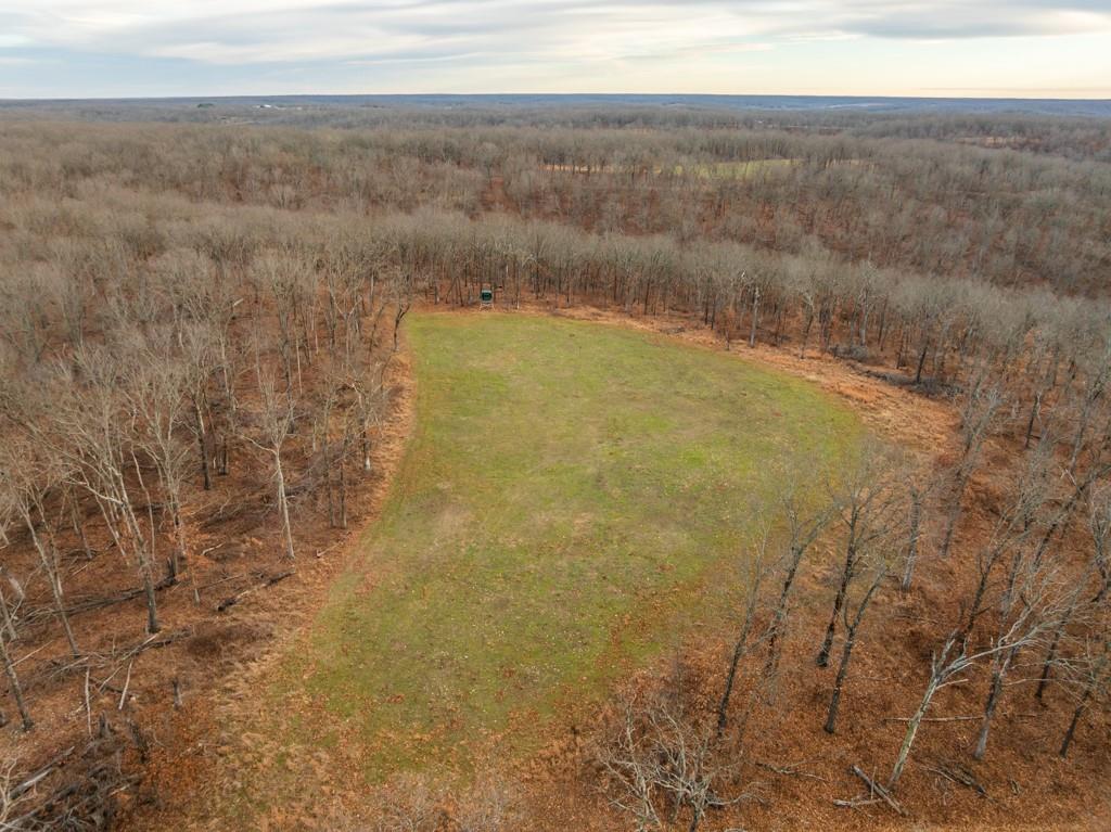 3270 Northeast 1205th Road Osceola, MO 64776 - Photo 28 of 99