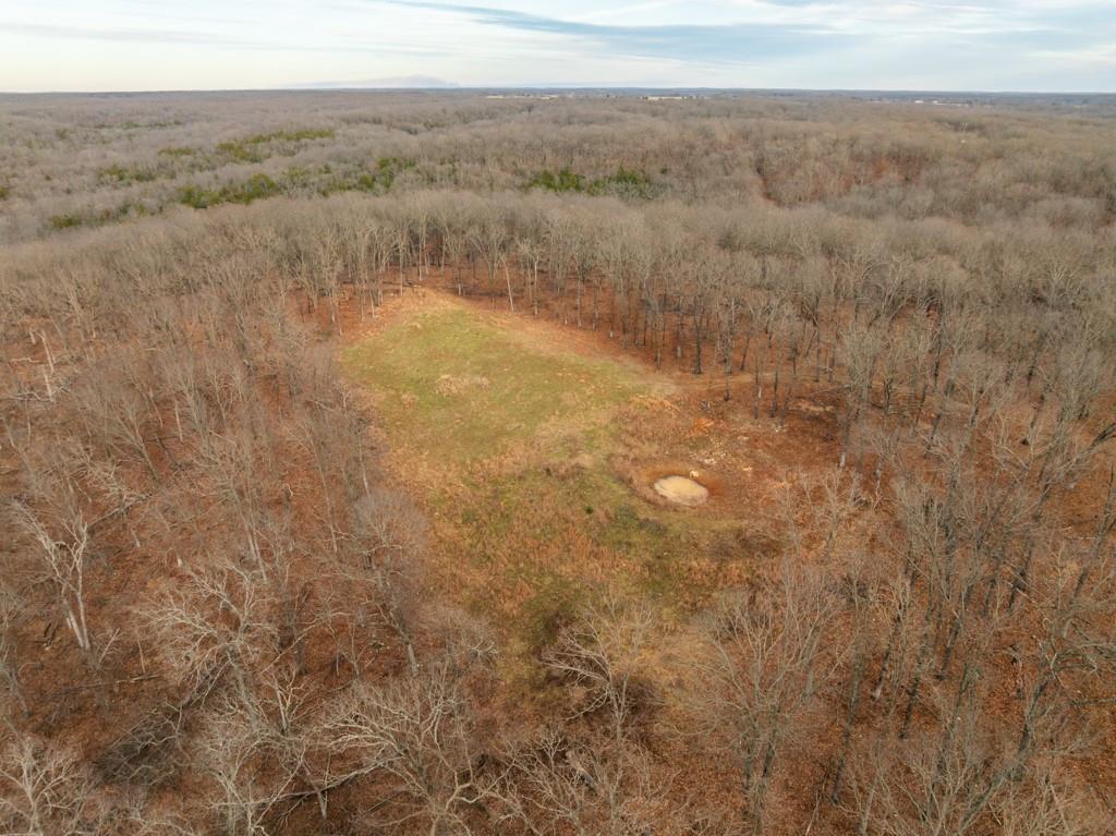 3270 Northeast 1205th Road Osceola, MO 64776 - Photo 29 of 99