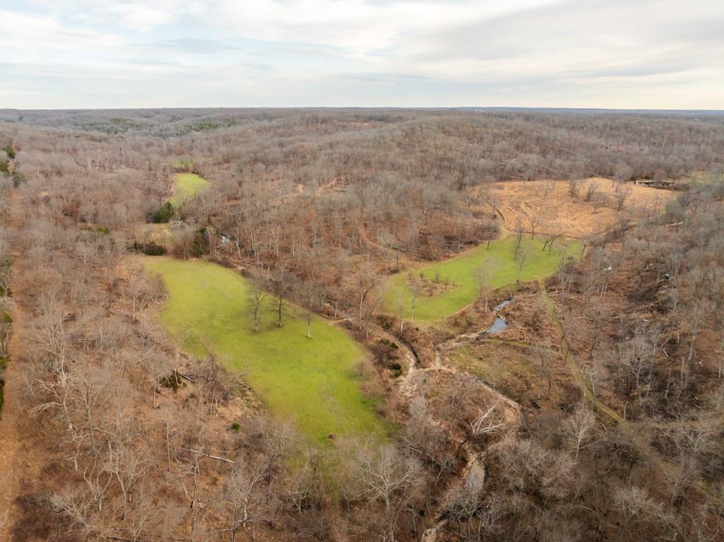 3270 Northeast 1205th Road Osceola, MO 64776 - Photo 3 of 99