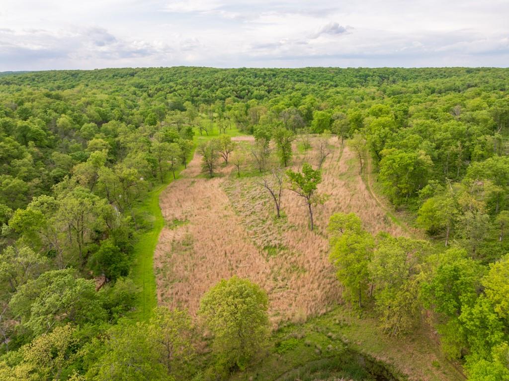 3270 Northeast 1205th Road Osceola, MO 64776 - Photo 3 of 89
