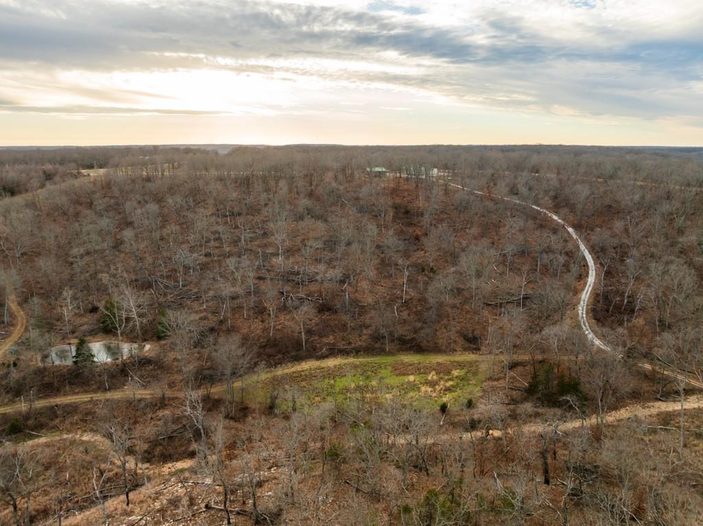 3270 Northeast 1205th Road Osceola, MO 64776 - Photo 32 of 99