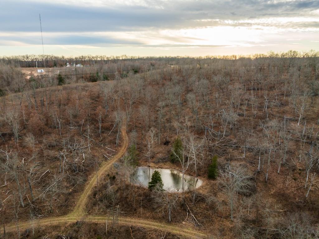 3270 Northeast 1205th Road Osceola, MO 64776 - Photo 33 of 99