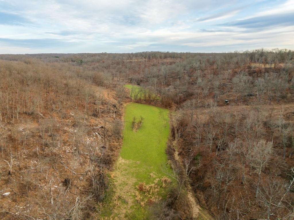 3270 Northeast 1205th Road Osceola, MO 64776 - Photo 34 of 99