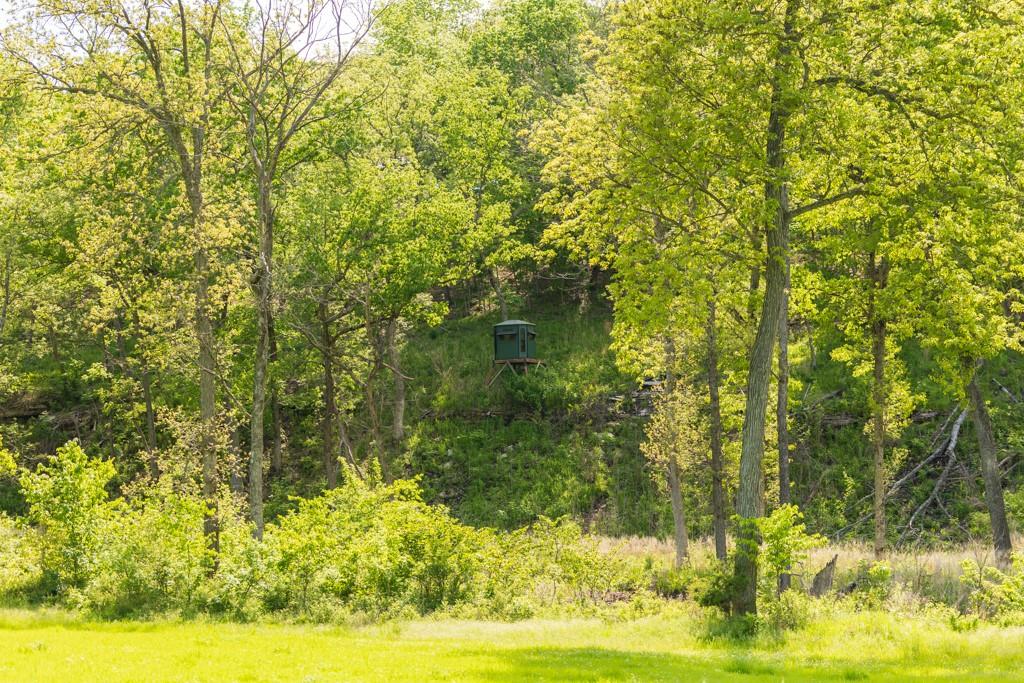 3270 Northeast 1205th Road Osceola, MO 64776 - Photo 34 of 89