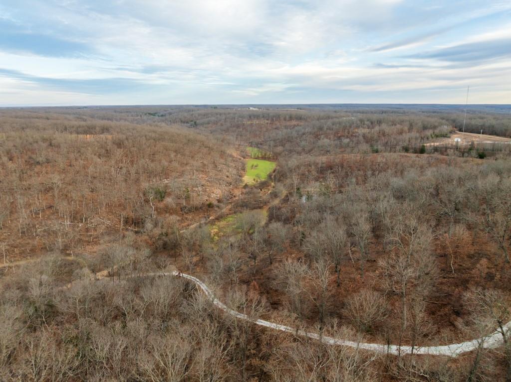 3270 Northeast 1205th Road Osceola, MO 64776 - Photo 35 of 99