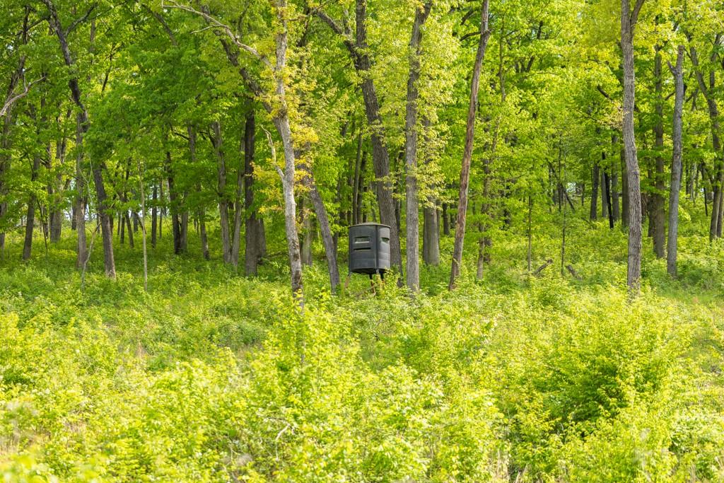3270 Northeast 1205th Road Osceola, MO 64776 - Photo 38 of 89
