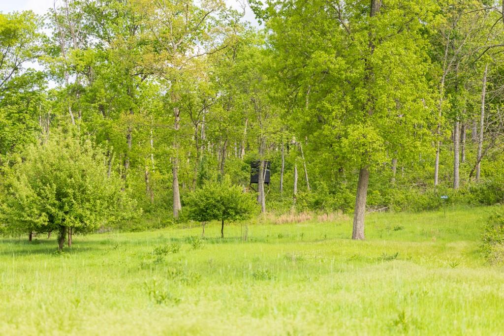 3270 Northeast 1205th Road Osceola, MO 64776 - Photo 39 of 89