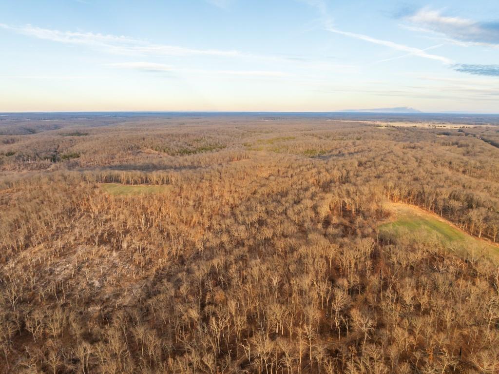 3270 Northeast 1205th Road Osceola, MO 64776 - Photo 39 of 99