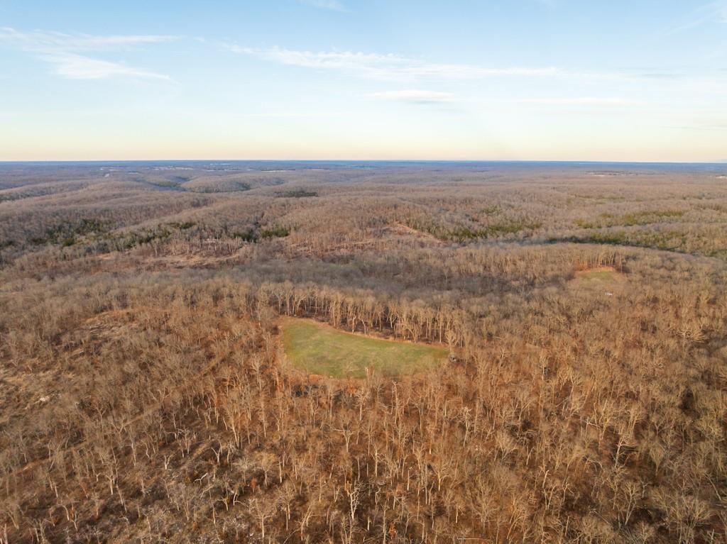 3270 Northeast 1205th Road Osceola, MO 64776 - Photo 40 of 99