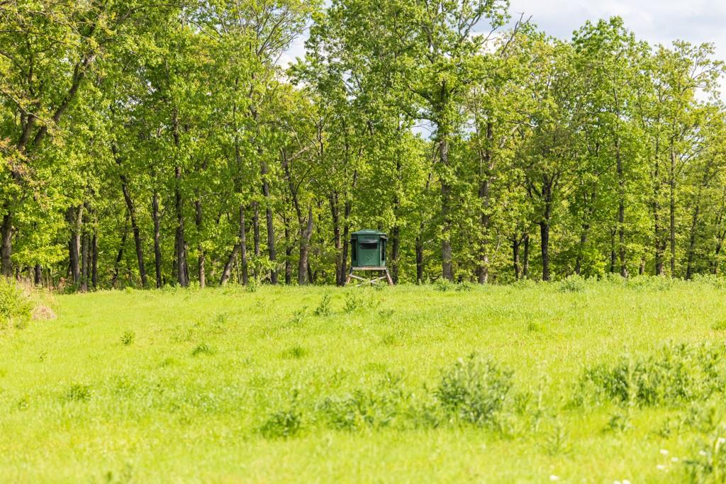3270 Northeast 1205th Road Osceola, MO 64776 - Photo 41 of 89
