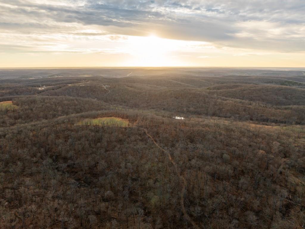 3270 Northeast 1205th Road Osceola, MO 64776 - Photo 41 of 99