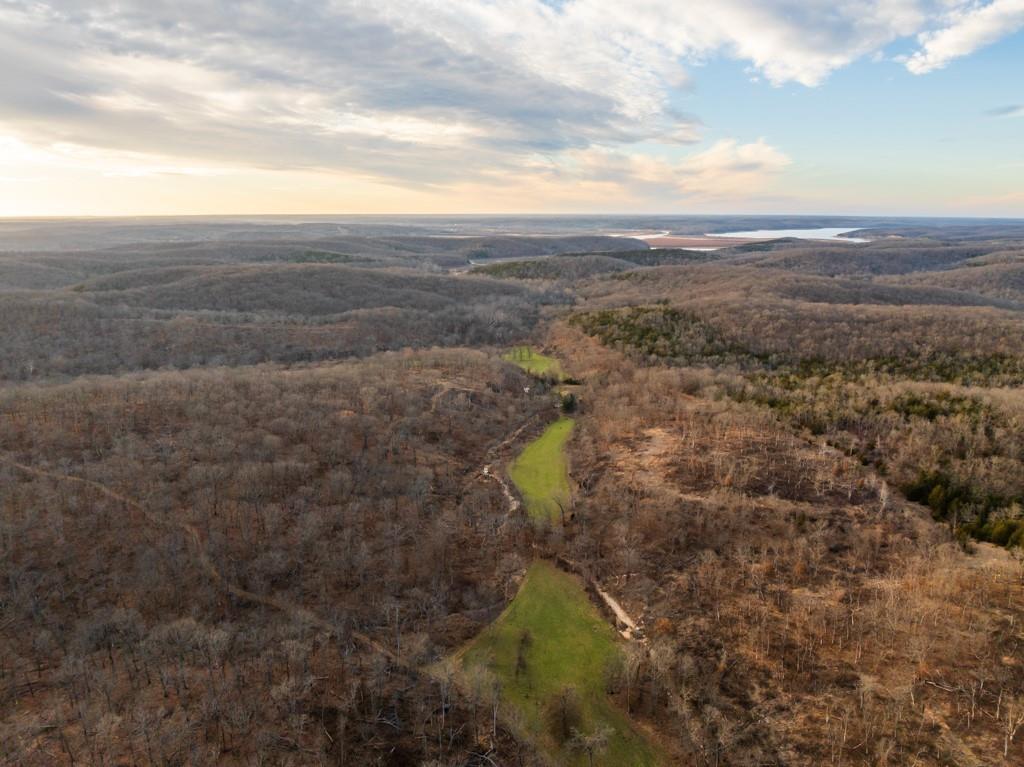 3270 Northeast 1205th Road Osceola, MO 64776 - Photo 42 of 99