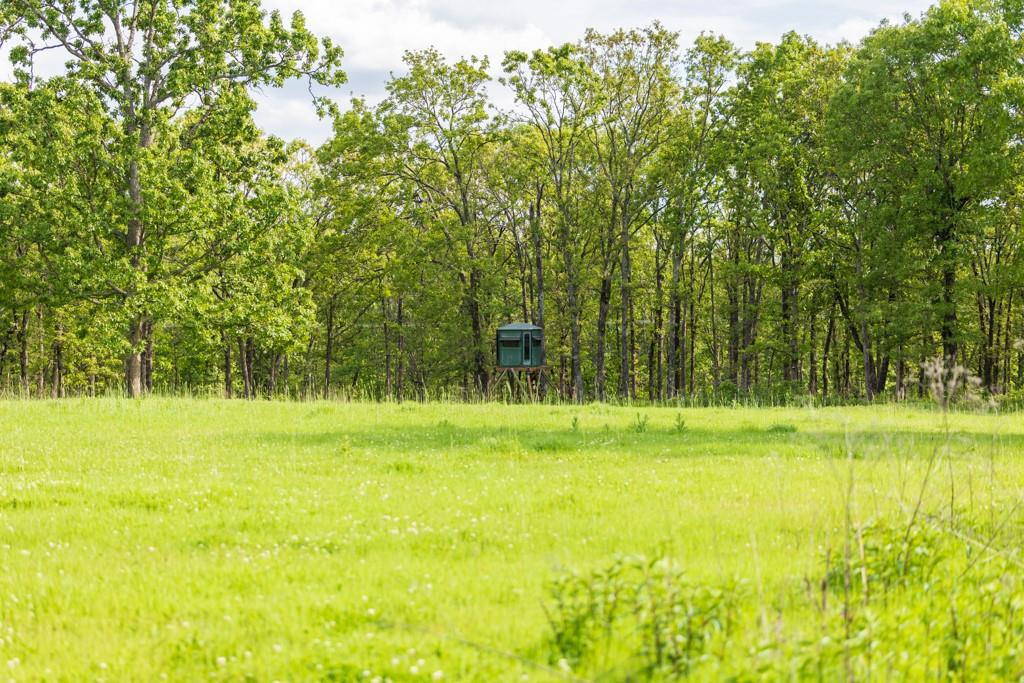 3270 Northeast 1205th Road Osceola, MO 64776 - Photo 42 of 89