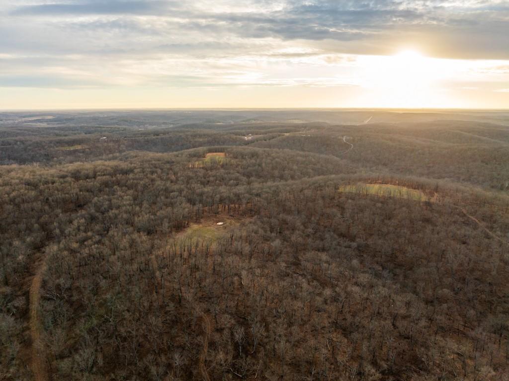 3270 Northeast 1205th Road Osceola, MO 64776 - Photo 43 of 99