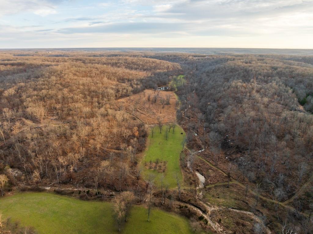 3270 Northeast 1205th Road Osceola, MO 64776 - Photo 46 of 99