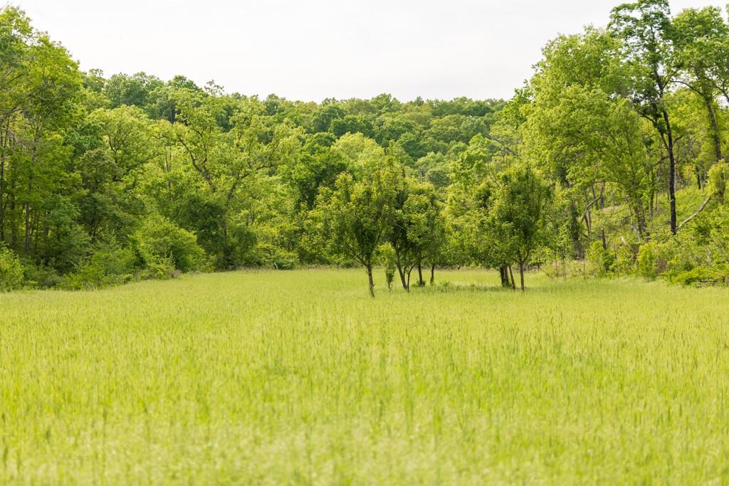 3270 Northeast 1205th Road Osceola, MO 64776 - Photo 47 of 89