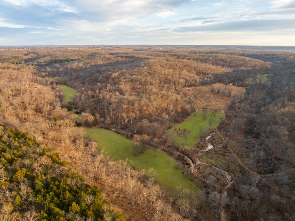 3270 Northeast 1205th Road Osceola, MO 64776 - Photo 47 of 99