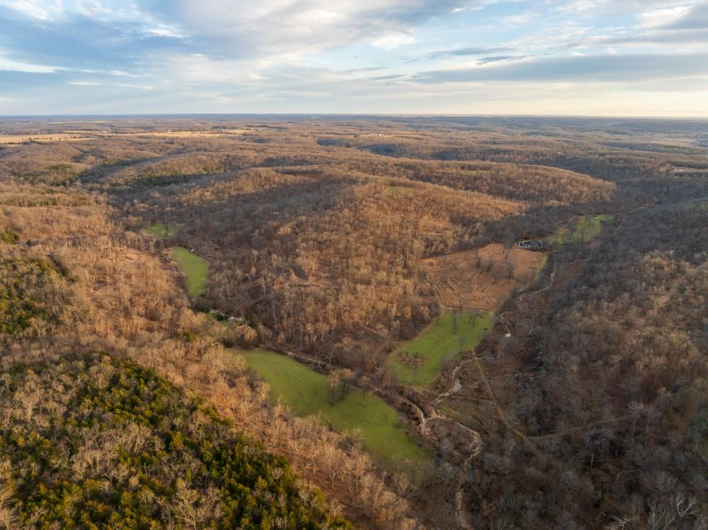 3270 Northeast 1205th Road Osceola, MO 64776 - Photo 48 of 99