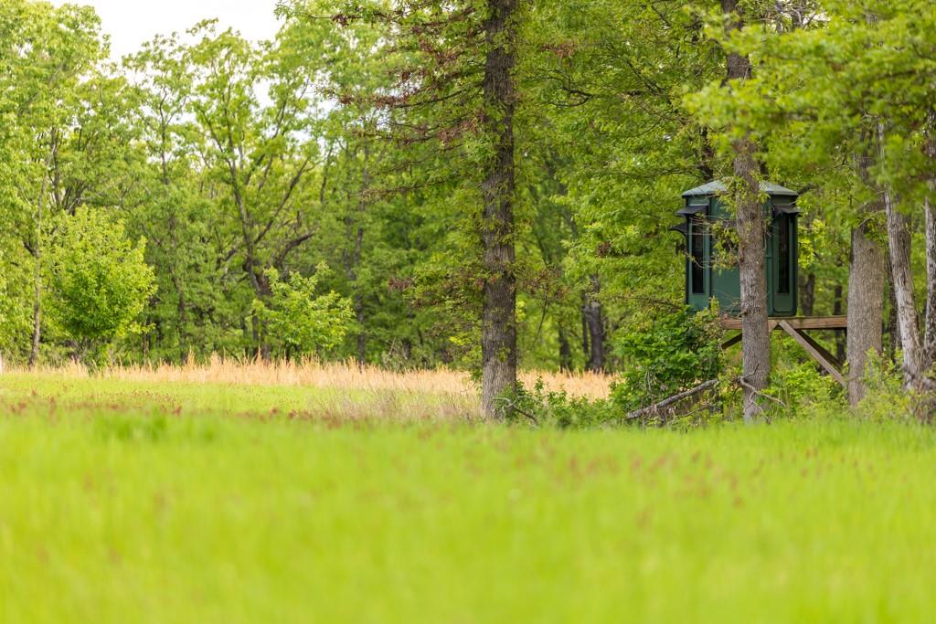 3270 Northeast 1205th Road Osceola, MO 64776 - Photo 48 of 89