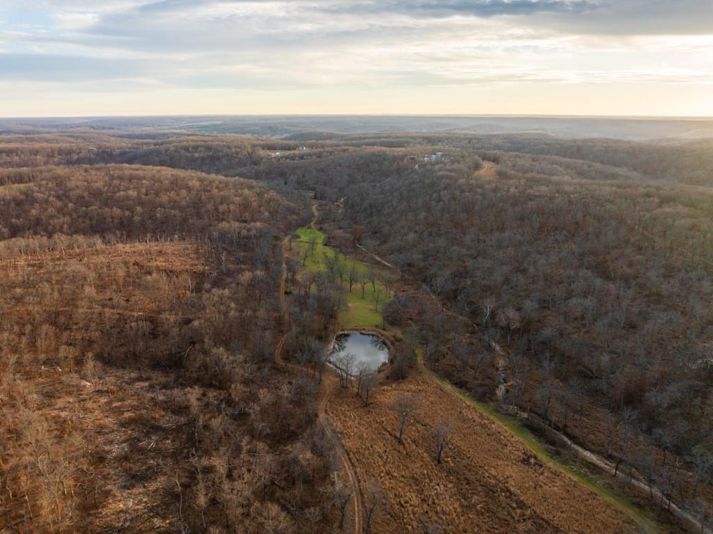 3270 Northeast 1205th Road Osceola, MO 64776 - Photo 49 of 99