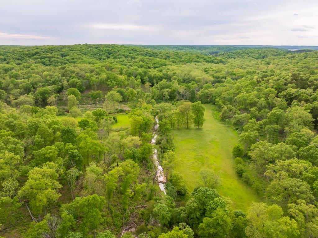 3270 Northeast 1205th Road Osceola, MO 64776 - Photo 5 of 89