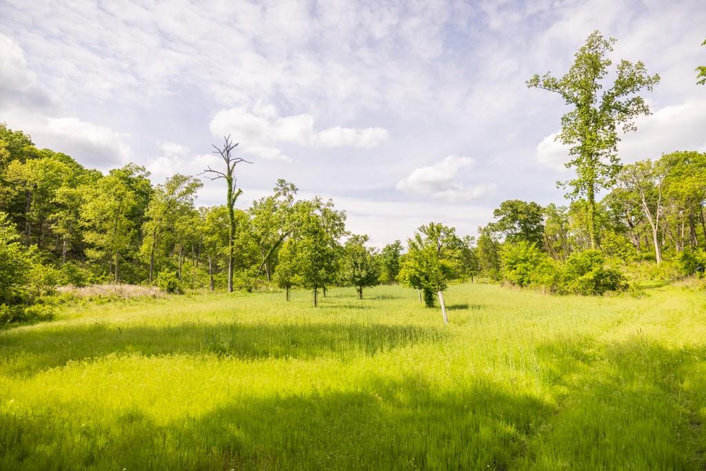 3270 Northeast 1205th Road Osceola, MO 64776 - Photo 55 of 89
