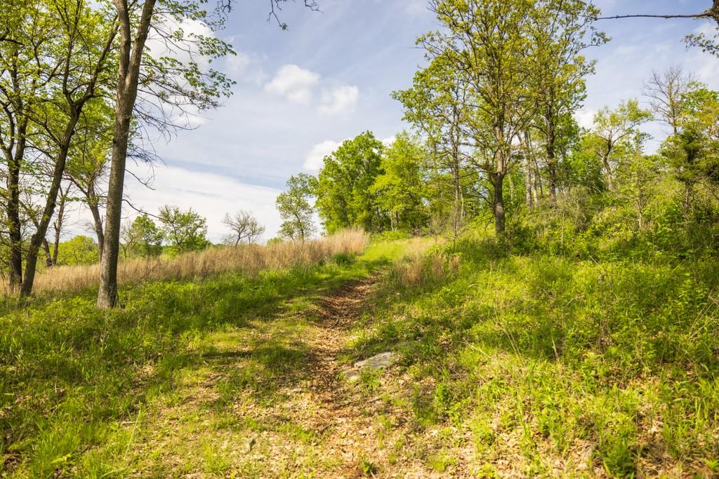 3270 Northeast 1205th Road Osceola, MO 64776 - Photo 59 of 89