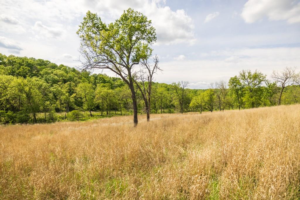 3270 Northeast 1205th Road Osceola, MO 64776 - Photo 60 of 89
