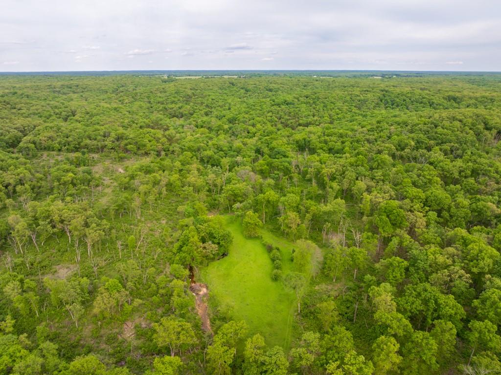 3270 Northeast 1205th Road Osceola, MO 64776 - Photo 6 of 89