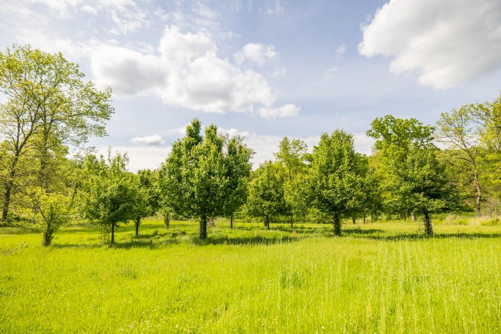 3270 Northeast 1205th Road Osceola, MO 64776 - Photo 62 of 89