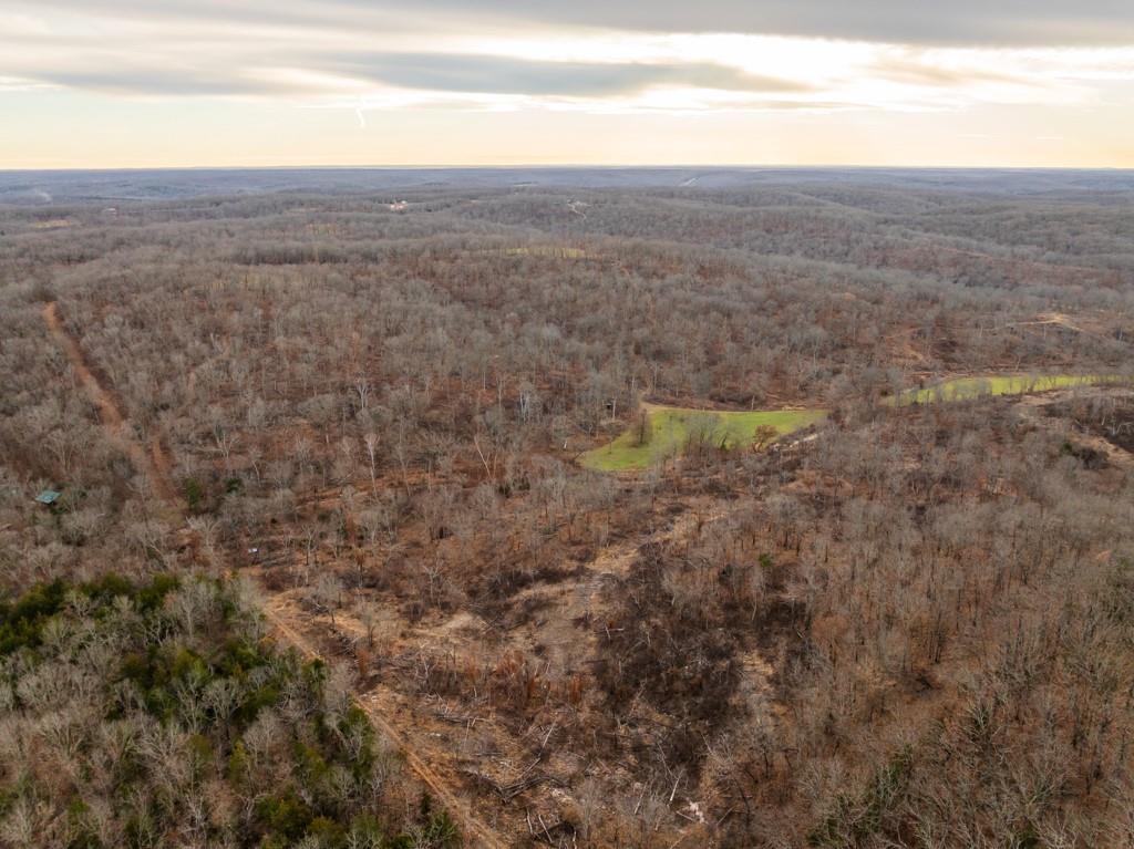 3270 Northeast 1205th Road Osceola, MO 64776 - Photo 7 of 99