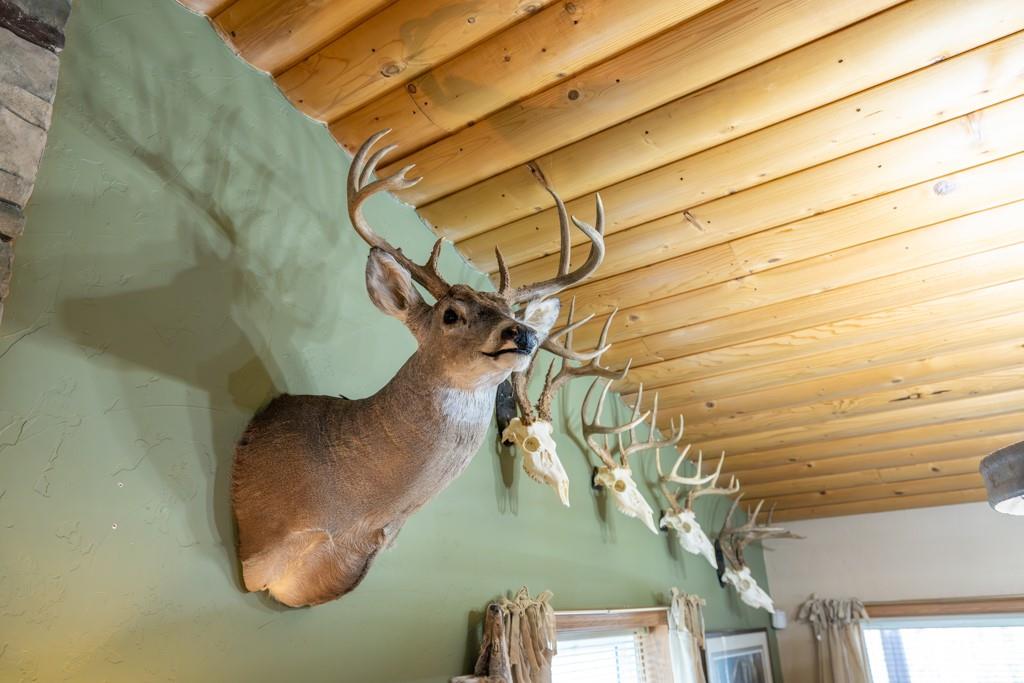 3270 Northeast 1205th Road Osceola, MO 64776 - Photo 77 of 99