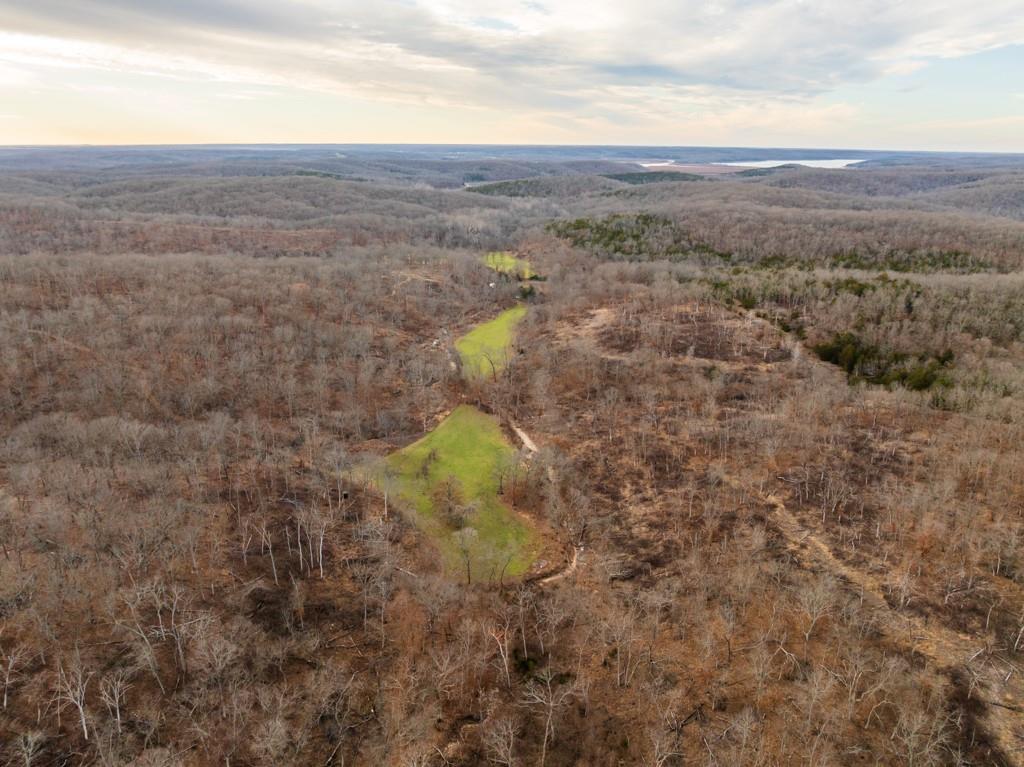 3270 Northeast 1205th Road Osceola, MO 64776 - Photo 8 of 99