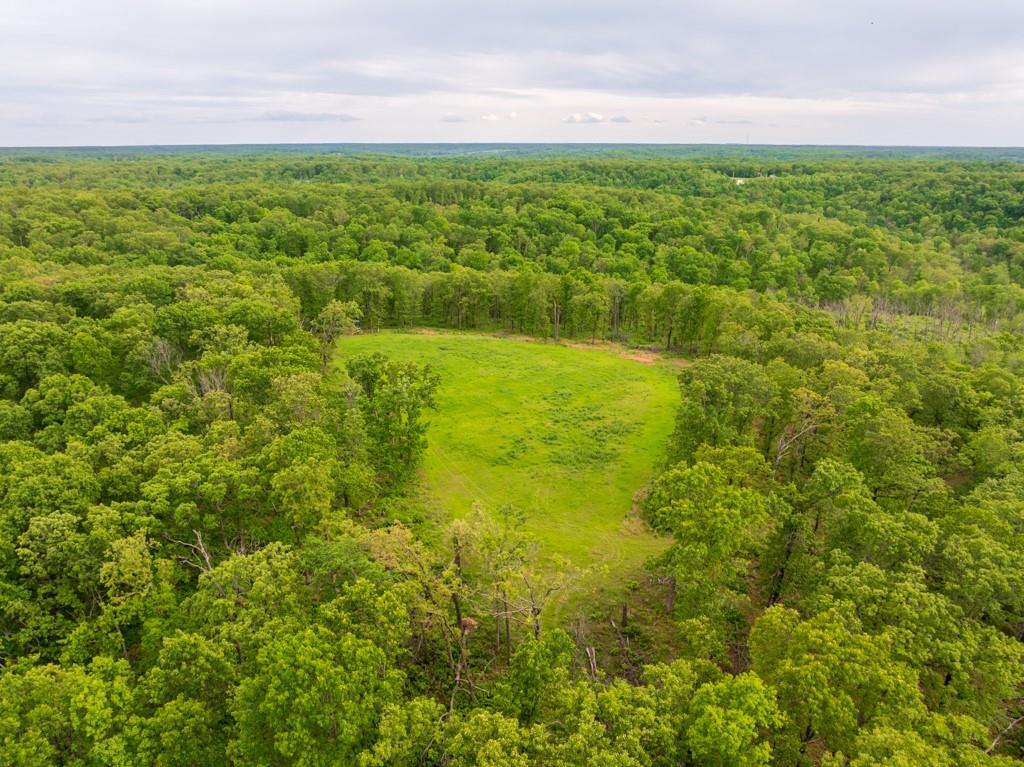 3270 Northeast 1205th Road Osceola, MO 64776 - Photo 8 of 89