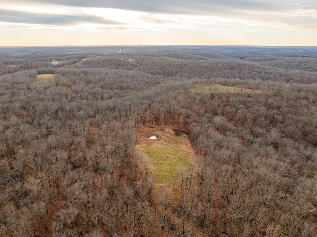 3270 Northeast 1205th Road Osceola, MO 64776 - Photo 9 of 99