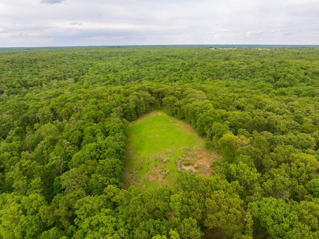 3270 Northeast 1205th Road Osceola, MO 64776 - Photo 9 of 89