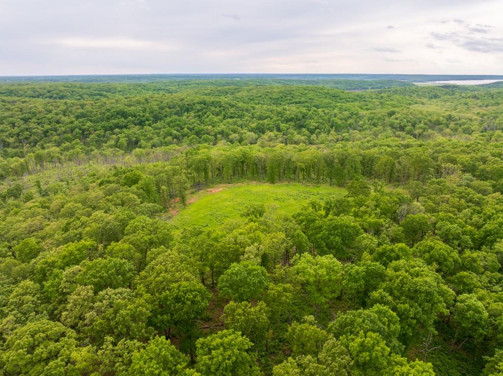 3270 Northeast 1205th Road Osceola, MO 64776 - Photo 10 of 89