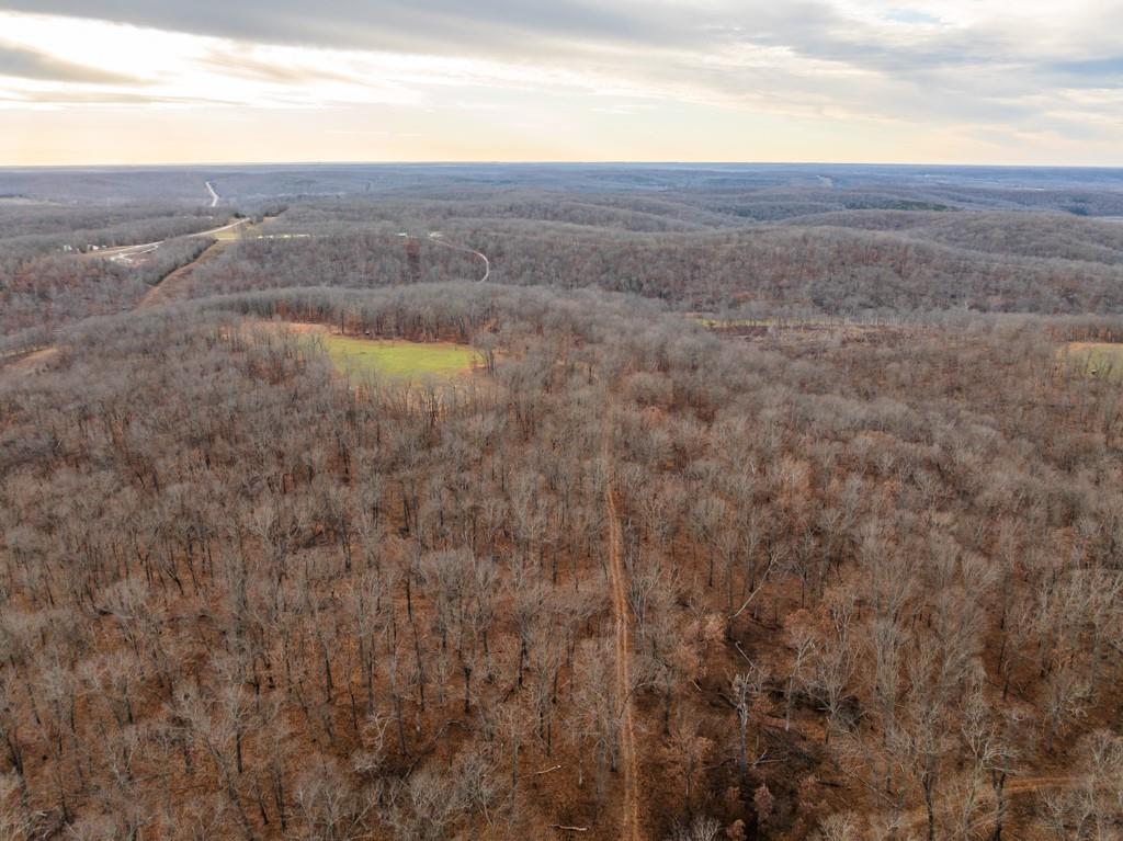 3270 Northeast 1205th Road Osceola, MO 64776 - Photo 10 of 99