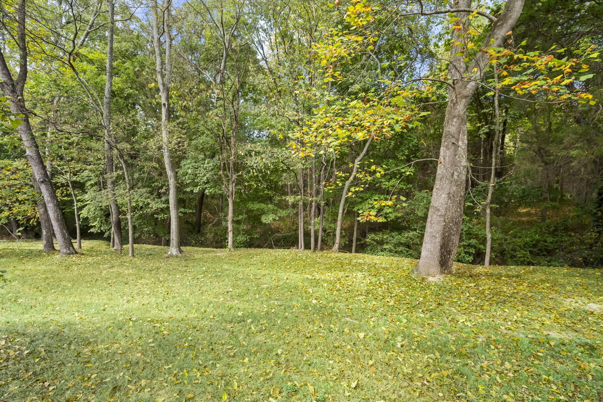 4926 Mt Zion Road Springfield, TN 37172 - Photo 41 of 48 a view of outdoor space with deck and yard