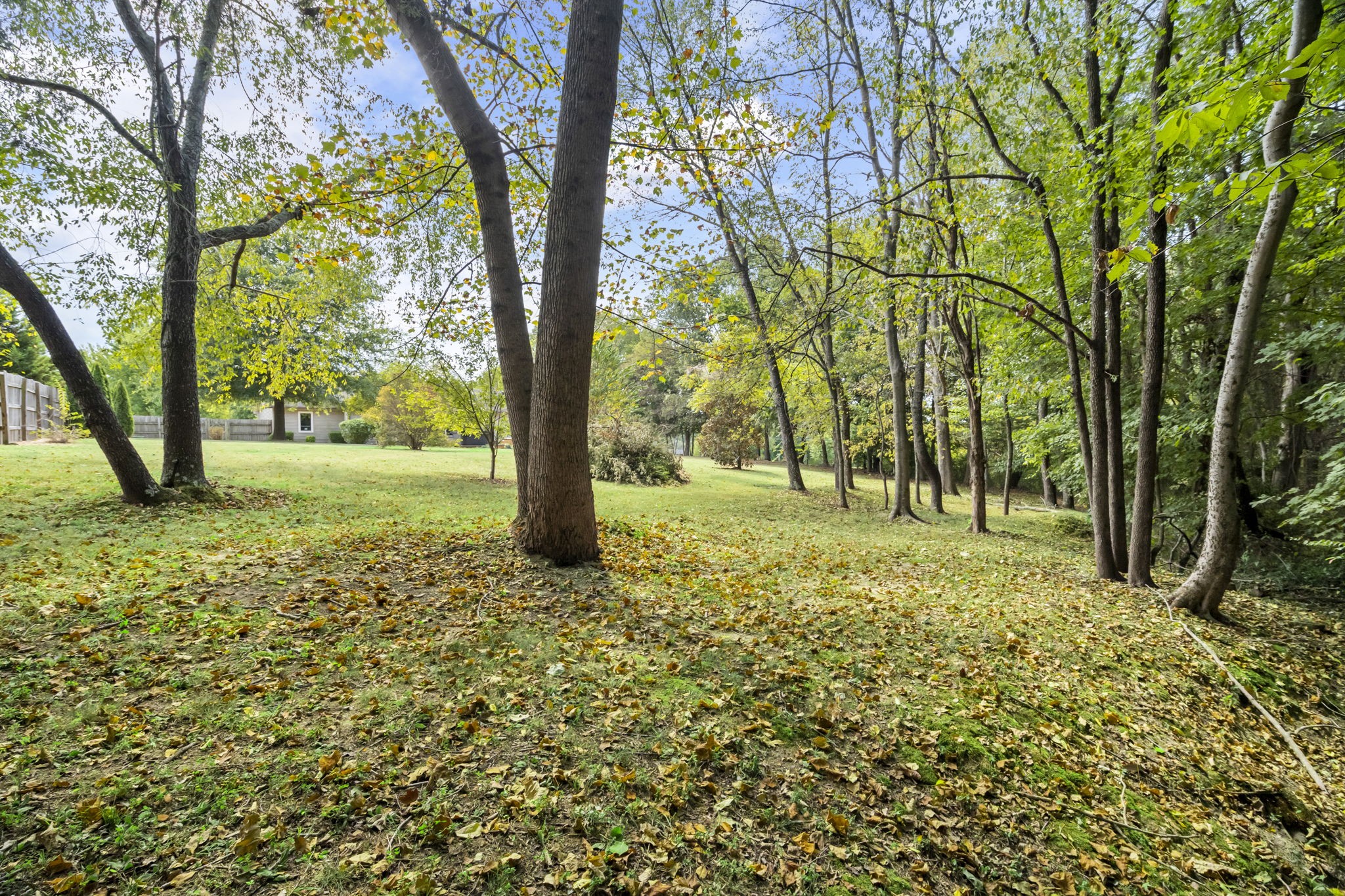 4926 Mt Zion Road Springfield, TN 37172 - Photo 42 of 48 a view of outdoor space with a garden