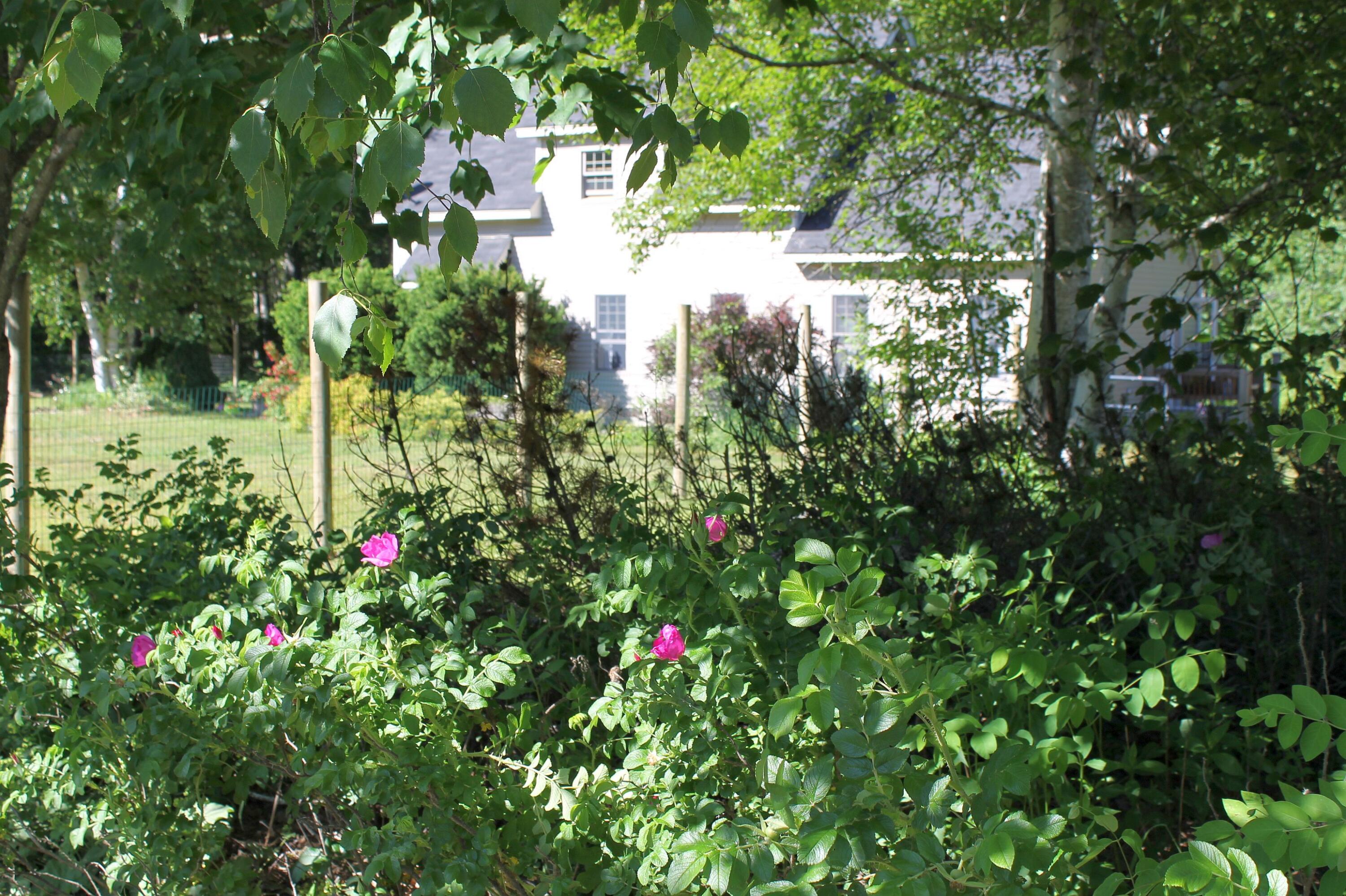 19 Ridge Road Belmont, ME 04952 - Photo 23 of 25 View from driveway
