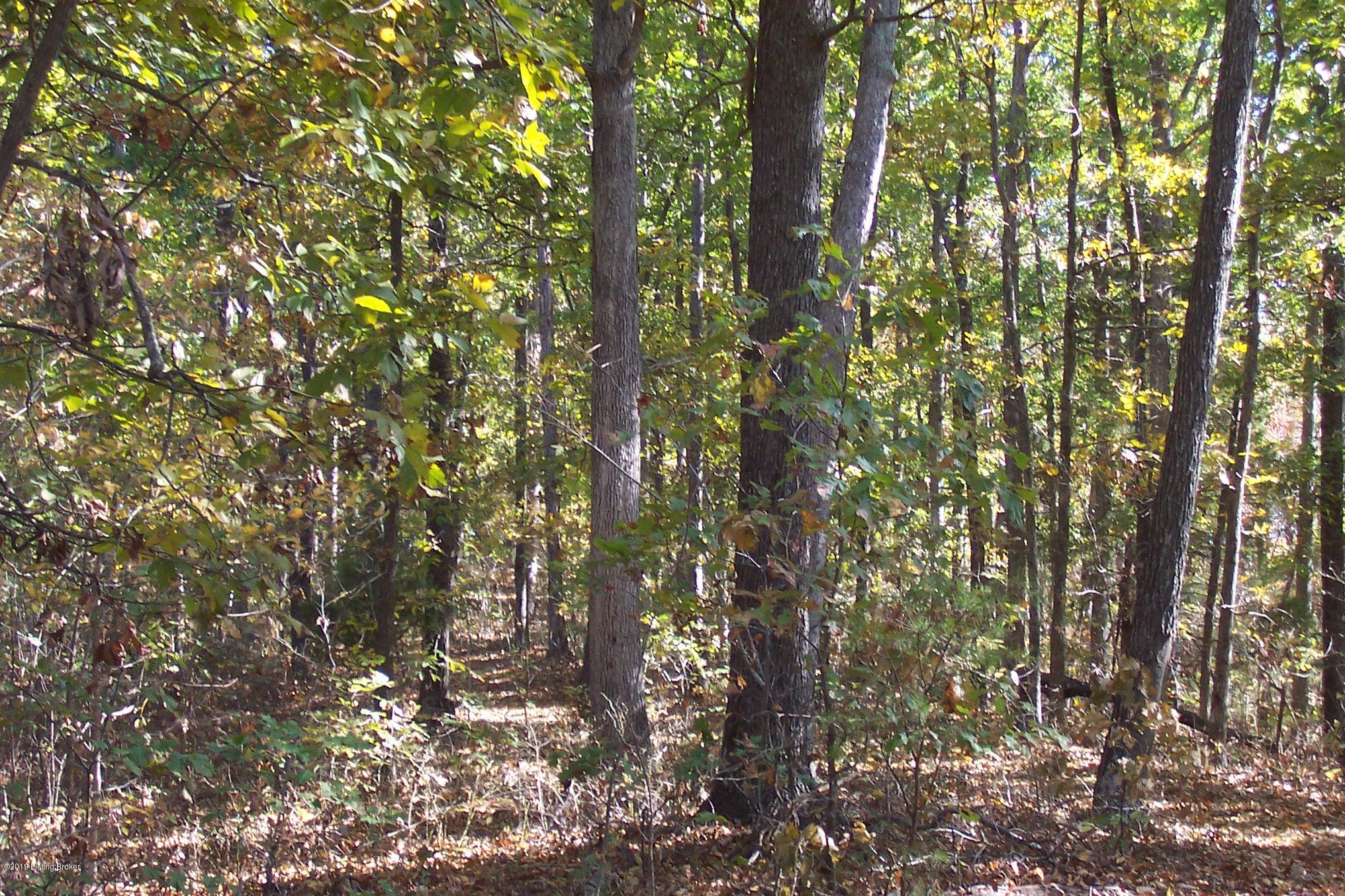 1500 Duvall Road Caneyville, KY 42721 - Photo 9 of 15 100_7153