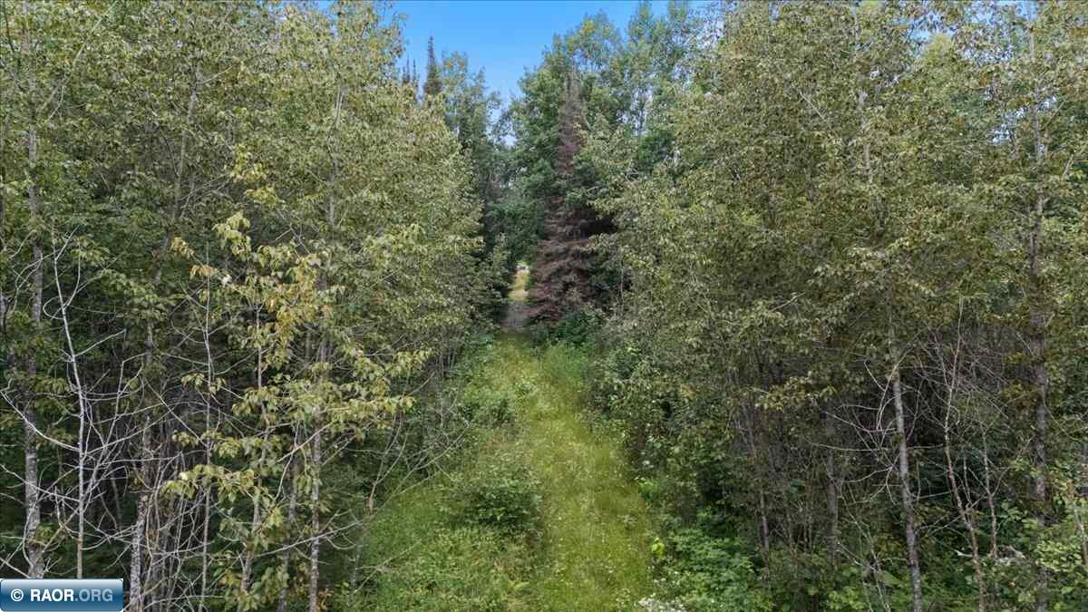 Tbd Pulkinen Road Embarrass, MN 55732 - Photo 1 of 15