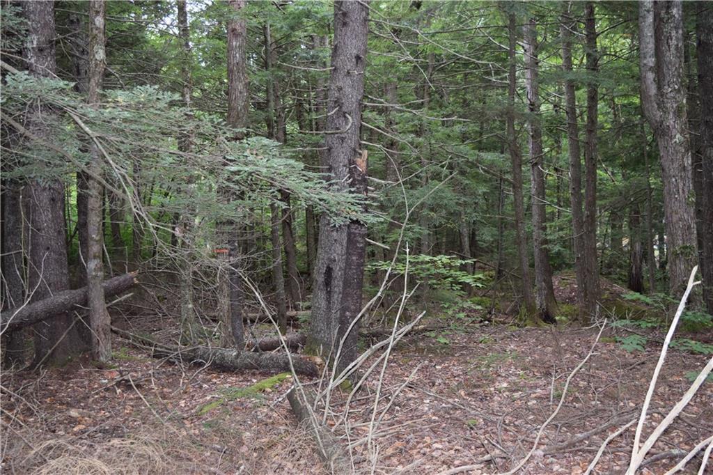 0 Nicolin Road Ellsworth, ME 04605 - Photo 4 of 7 Photo