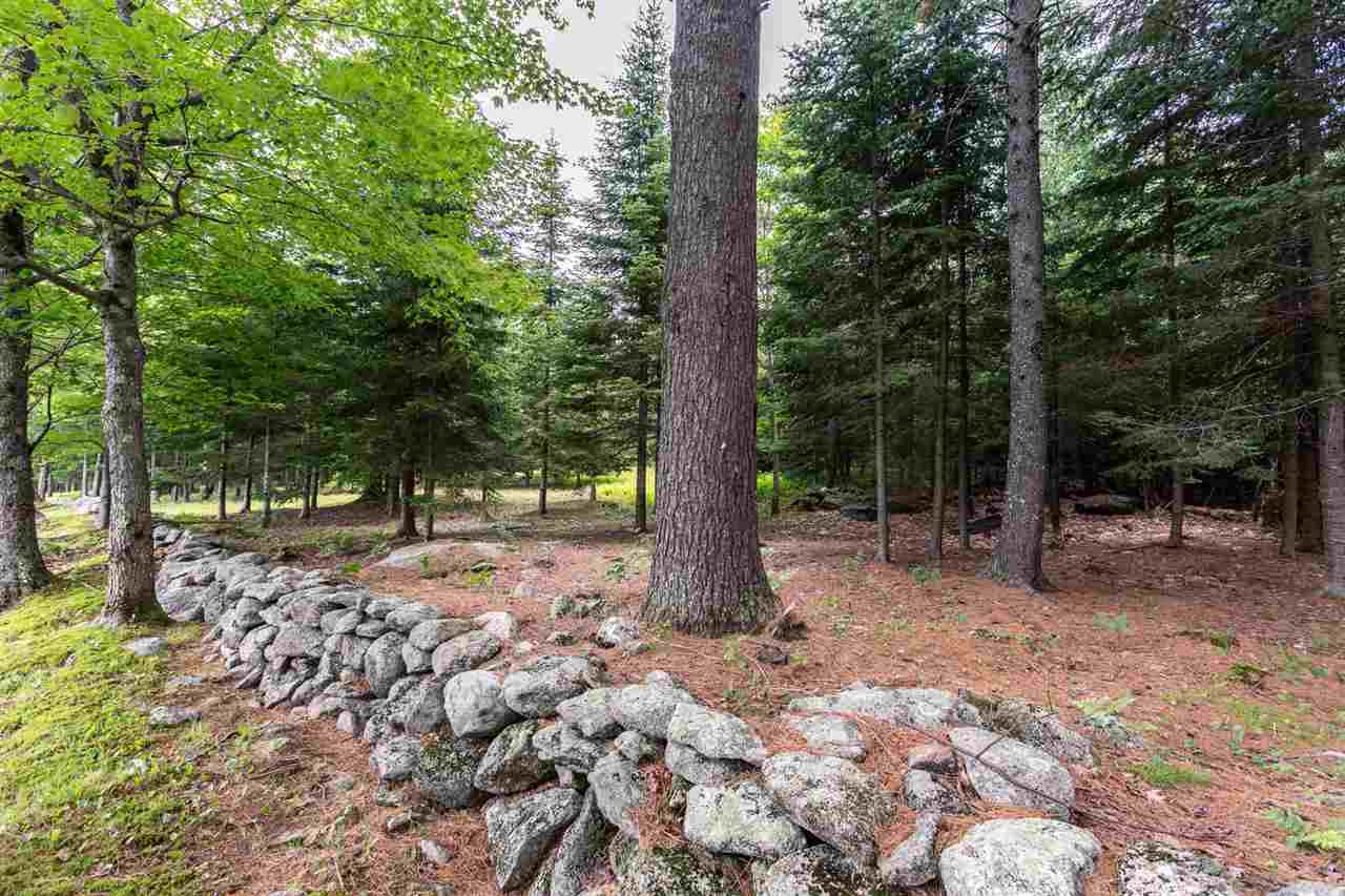 559 N Road Sunapee, NH 03782 - Photo 4 of 32