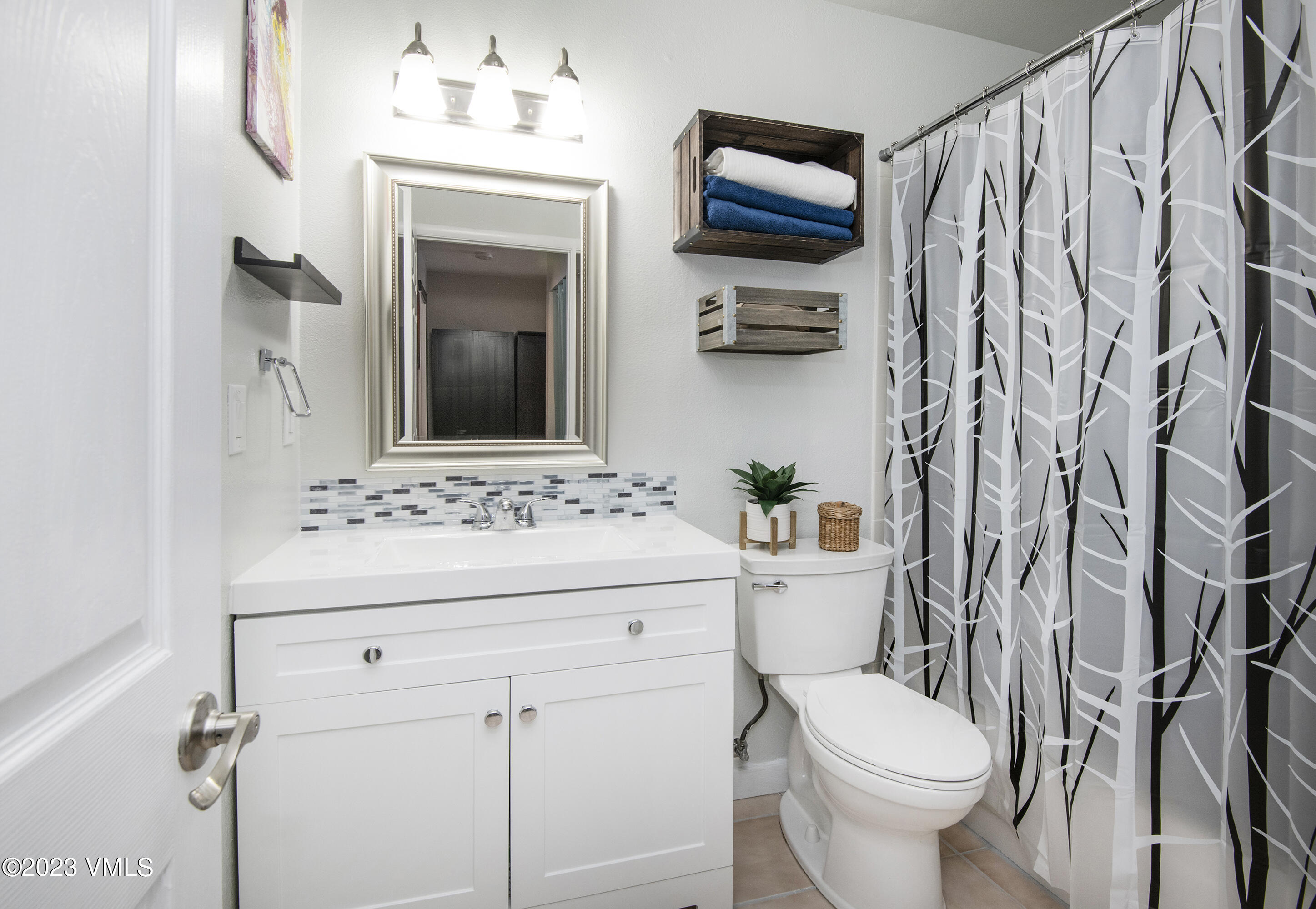 280 Gopher Road, Unit E29 Eagle-Vail, CO 81620 - Photo 11 of 22 a bathroom with a sink a toilet and shower