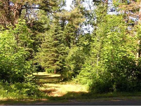 * Mount Cleveland Road Bethlehem, NH 03574 - Photo 1 of 2