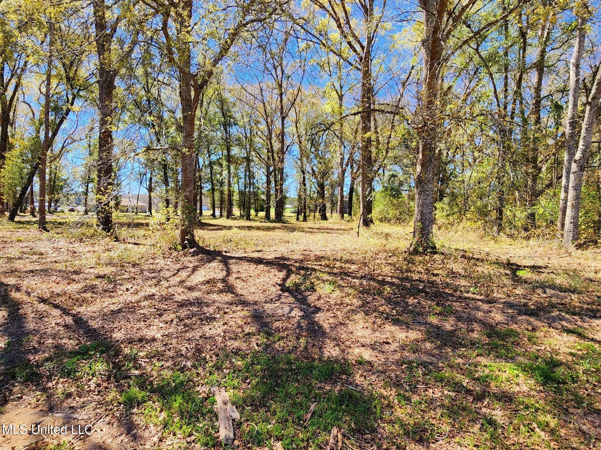 3.94-ac Yellow Bluff Road Lucedale, MS 39452 - Photo 1 of 6 land