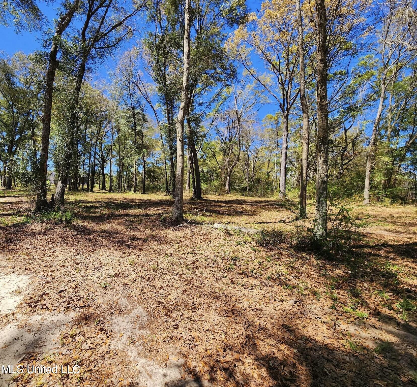 3.94-ac Yellow Bluff Road Lucedale, MS 39452 - Photo 4 of 6 IMG_8207